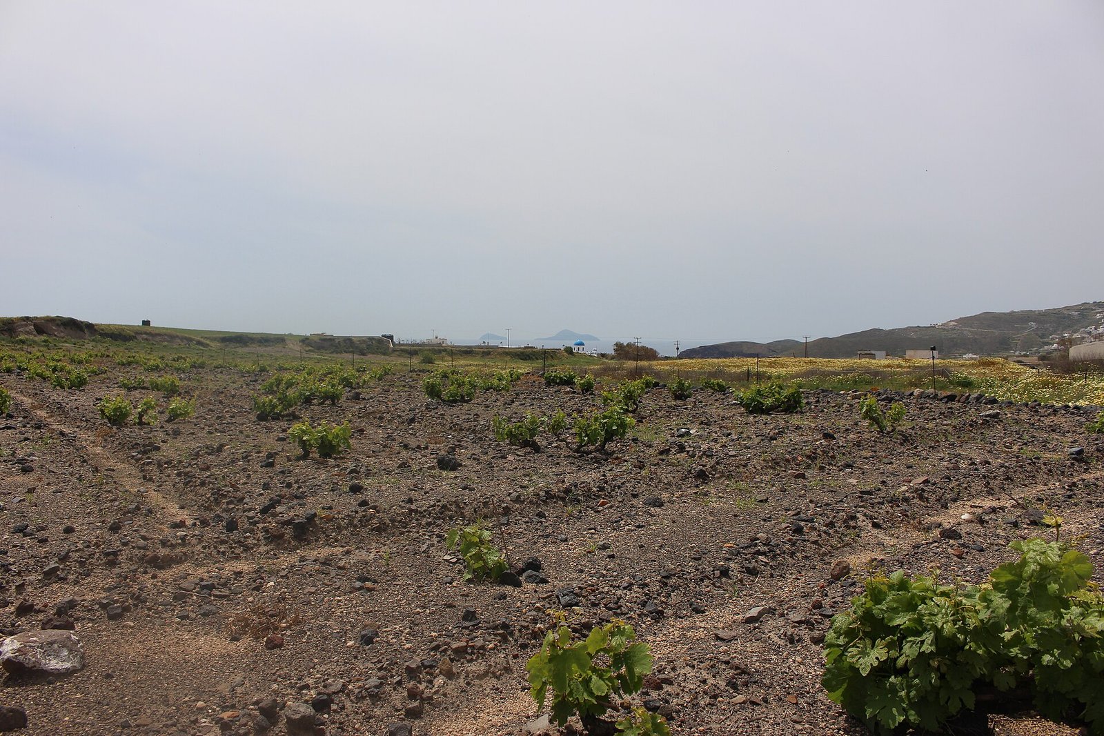 Wine & Volcano Journey